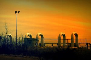 shannonpatrick17 from Swanton, Nebraska, U.S.A., CC BY 2.0 , via Wikimedia Commons