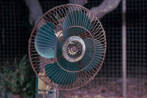 D-T14zABgrOoqeQ