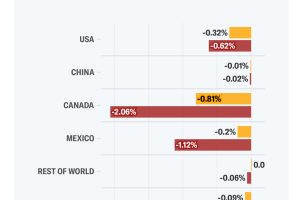 20%的关税如何影响国内生产总值