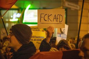 IMG_5041