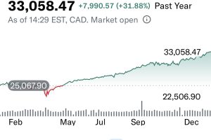 加拿大股市一年表现