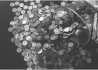 Pvz5p58BfJP2o4A