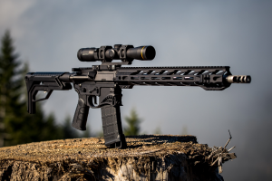 gun