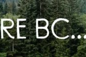 cSqw6eMBdK7ijzk