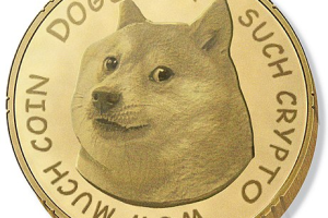 fGFLhqCruDc8FCv1
