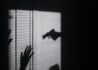 ffvc-yMBfyJTVQo