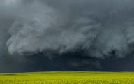 Photo by Greg Johnson on Unsplash