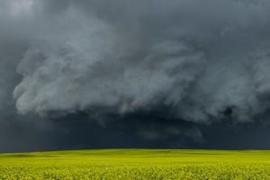 Photo by Greg Johnson on Unsplash
