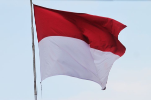 hLUpVZcBdomLpiw