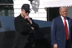 musk trump