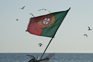 jF7X424BdzkctUg