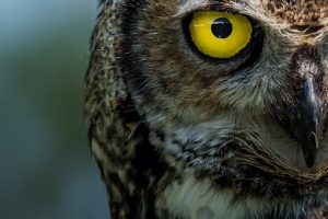 Photo by Jeremy Hynes on Unsplash