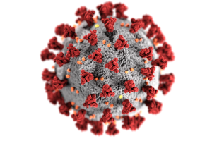 kdu8Qu0BfV1_ipM