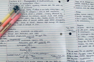 p9ZH6jLs1kBk3hOq