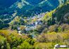 Photo by S. Tsuchiya on Unsplash