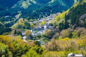 Photo by S. Tsuchiya on Unsplash