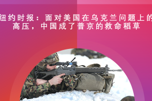 saeyOogIVAsujg7P