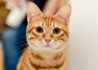 Photo by Sam Chang on Unsplash