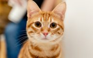 Photo by Sam Chang on Unsplash
