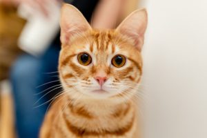 Photo by Sam Chang on Unsplash