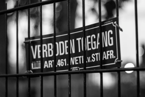 vrTiAigBdvnp66g