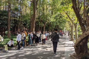 华东师大毕业生招聘会外头队伍