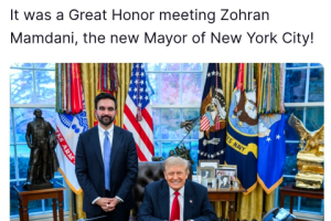 曼达尼和特朗普