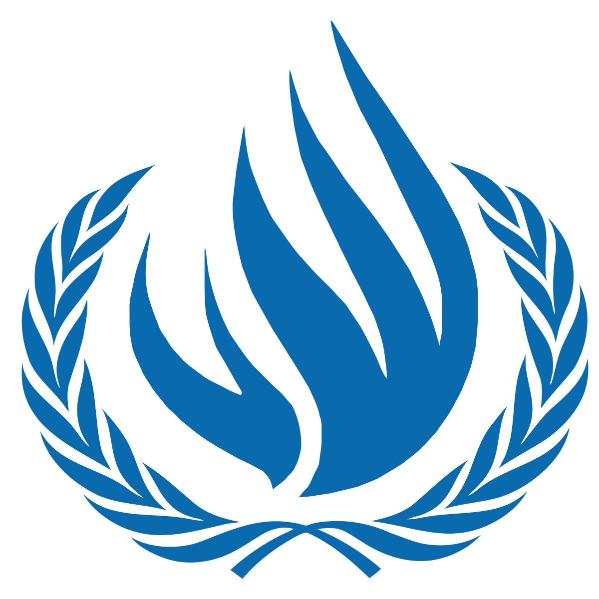 Image result for U.N. Human Rights Council,